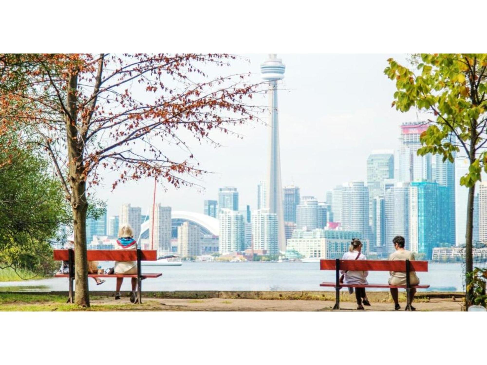 Lovely Leslieville, Exploring Nature In The City Toronto Exterior photo